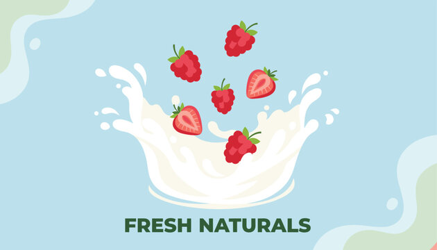 Fresh red raspberries and sliced strawberries falling into a splash of white milk against a blue background with the text fresh naturals.