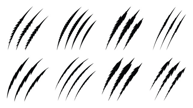 Animal Claw Scratch Marks Set with Cat and Tiger Paw Scratches, Sharp Claw Damage Effects, Wild Predator Attack Symbols, Vector Illustration Collection