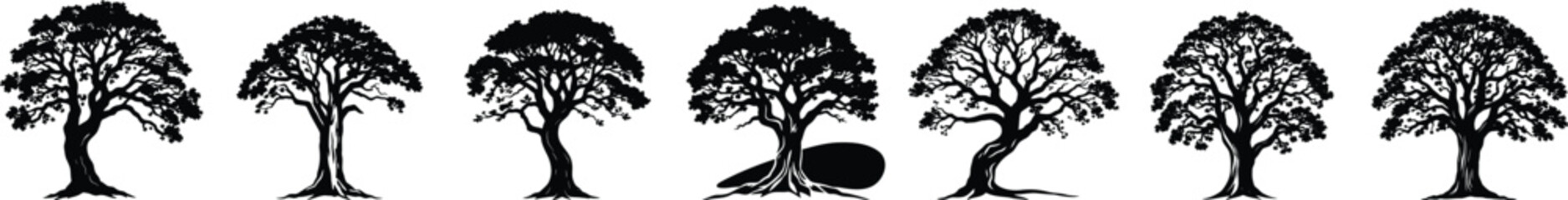 Obraz premium Ancient Oak Tree Silhouette Collection Isolated on White Background Nature Forest Design Set