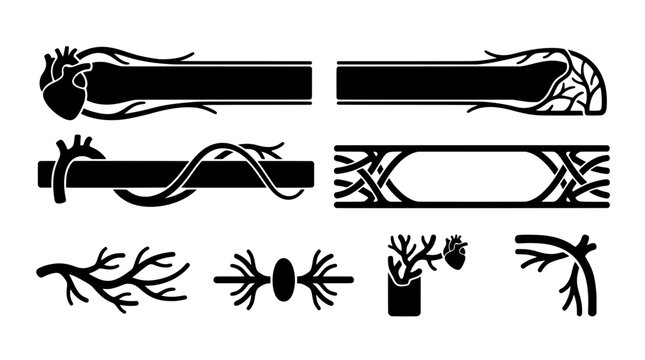 Black heart vasculature stream overlays, lower thirds, and vein dividers. Perfect vector assets for gothic gaming UI or medical graphic design