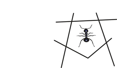 Single ant insect inside simple geometric lines illustration with geometric © Sohan