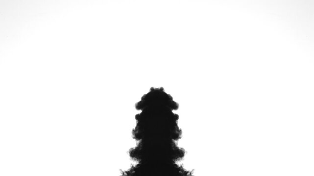 An abstract, slow-motion video showing black ink expanding symmetrically in water against a clean white background. creating beautiful fluid textures and organic, Rorschach-like patterns