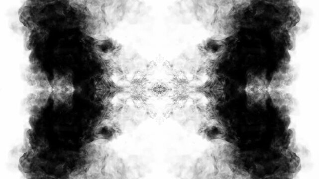 An abstract, slow-motion video showing black ink expanding symmetrically in water against a clean white background. creating beautiful fluid textures and organic, Rorschach-like patterns