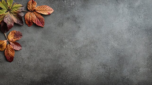 A clean flat lay with leaves positioned in the top-left corner of a gray cement background with wide margins