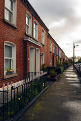 Fototapeta premium Row of Brick Houses with Ornamental Fence and Flowers, , Ireland, Urban Street, Overcast Sky, High-Quality Photography