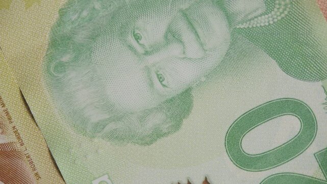 Experience the fascinating world of Canadian currency as intricate designs, vibrant colors, and unique textures reveal their beauty and history in amazing detail