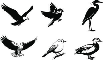 Obraz premium Black bird silhouette and line art set with flying perched and wading birds isolated on white background wildlife vector illustration