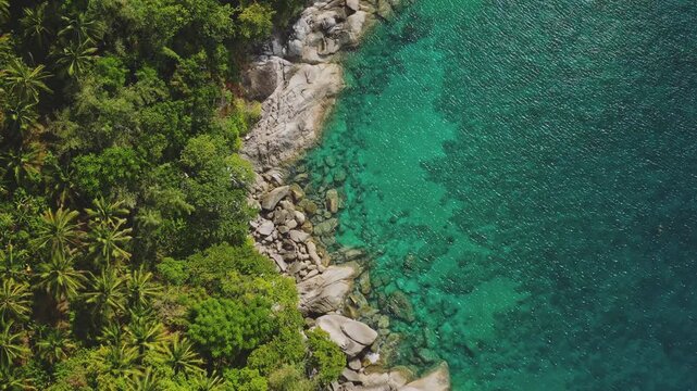 Lush green tropical forest with palm trees lining the rocky coast of Phuket, Thailand, clear turquoise ocean water revealing the seabed below, aerial view of the serene coastline. Top down static shot