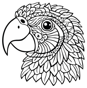 Intricate Line Art Parrot Head Illustration