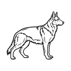 Fototapeta premium German shepherd dog line art illustration