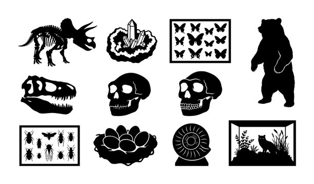 Silhouette collection of insect, skulls, bear, butterfly, ammonite fossil, and natural history specimen shapes