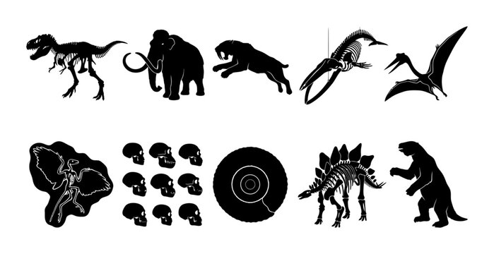 Silhouette collection of T rex, mammoth, pterosaur, ammonite, skeleton, and prehistoric fossil silhouettes