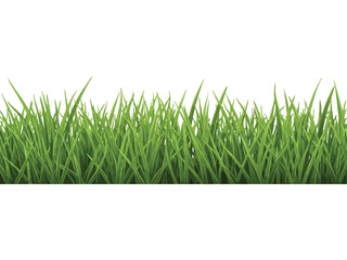 Obraz premium Vibrant green grass border isolated on white background