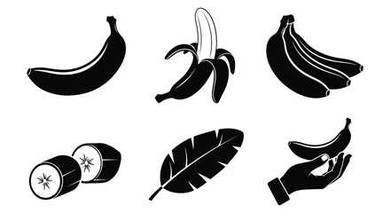 Banana And Kiwi Fruit Silhouettes With Tropical Leaf Vector Illustration © MDAliAkbor