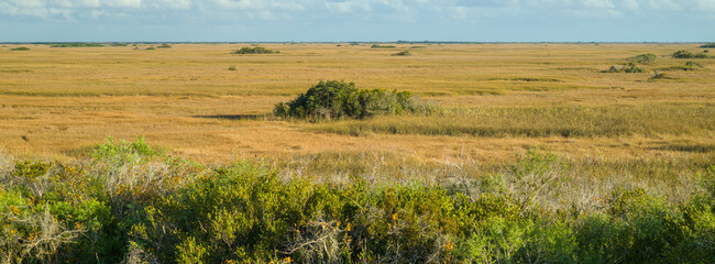Everglades ze szczytu wieży widokowej © Tomasz