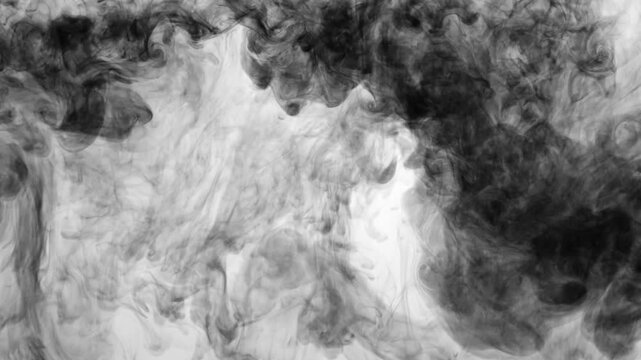 An abstract, slow-motion video showing black ink dropping from the top edge and gracefully dissolving into water against a clean white background. The ink forms dense, fluid textures expands downwards