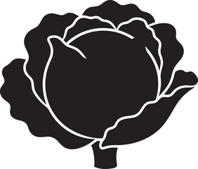 Fototapeta premium Cabbage head silhouette leafy garden vegetable healthy organic nutrition farm produce fresh plant crop.