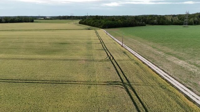 Vue a&eacute;rienne de champs de bl&eacute; bord&eacute;s par un chemin rural et une lisi&egrave;re foresti&egrave;re en Seine-et-Marne