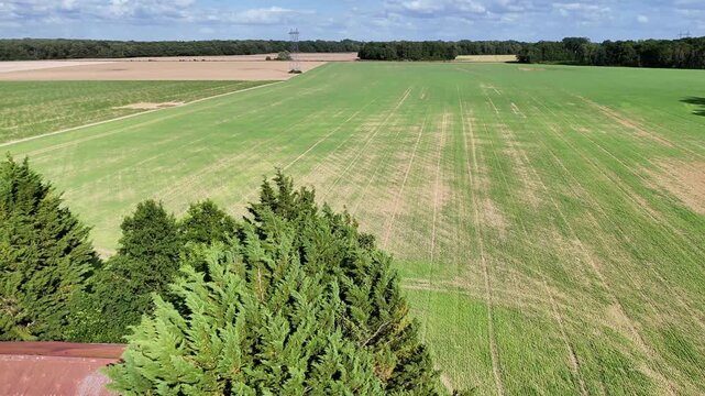 Vue a&eacute;rienne de vastes champs c&eacute;r&eacute;aliers en Seine-et-Marne sous un ciel nuageux avec rayons de soleil