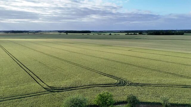 Vue a&eacute;rienne de vastes champs c&eacute;r&eacute;aliers en Seine-et-Marne sous un ciel nuageux avec rayons de soleil