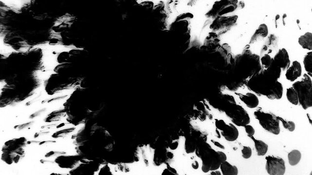organic ink textures and fluid motion in stark monochrome contrast. The sequence showcases powerful ink bleeds expanding into dynamic splatters, followed by sweeping, canvas-like fluid waves.