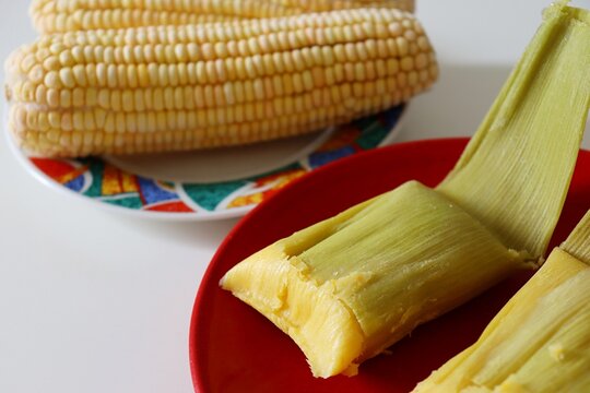Pamonhas wrapped in husks with corn cobs in the background. Sao Joao festival in Brazil. Brazilian pamonha corn food. 