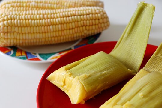 Pamonhas wrapped in husks with corn cobs in the background. Sao Joao festival in Brazil. Brazilian pamonha corn food. 