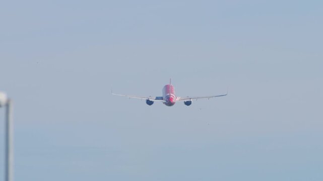 Pink passenger airplane flying away and ascending in a clear blue sky with birds flying around, telephoto shot from behind