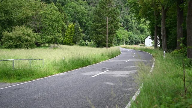 Empty road amidst lush green nature.