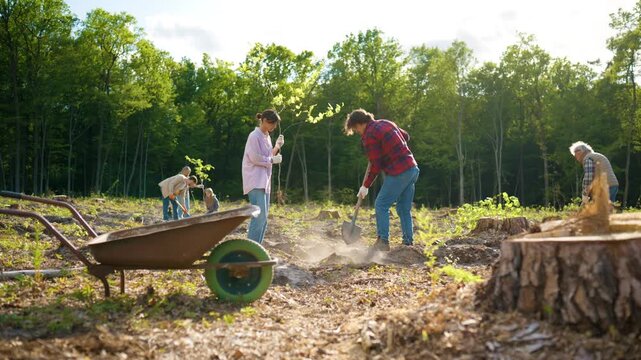 Female volunteer holding tree sapling while male member preparing ground for planting. Group restoring forest ecosystem on deforested land. Environmental conservation project outdoors.