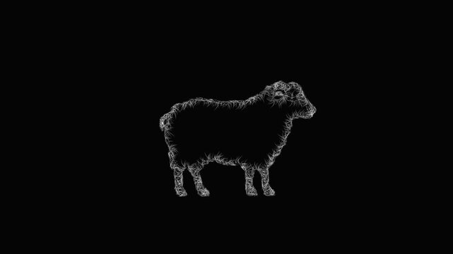 Sketch sheep icon animation - smooth progressive reveal