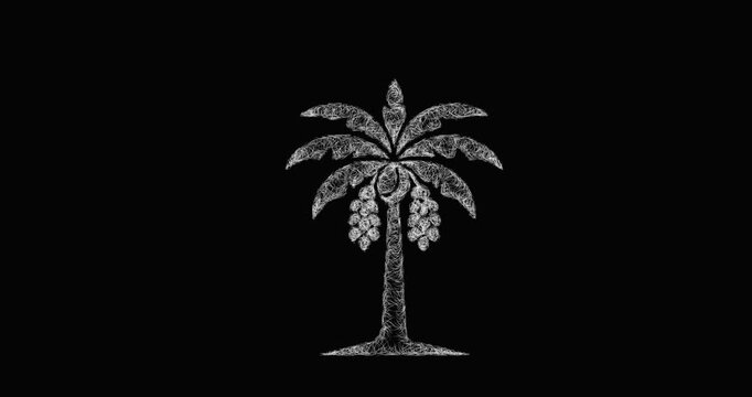 Sketch date palm icon animation - smooth progressive reveal