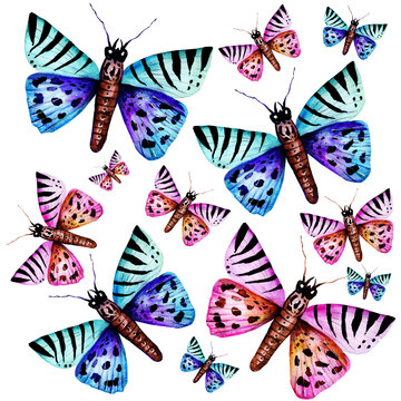 Hand drawn watercolor butterflies composition. vVibrant colorful butterfly elements design for wedding invitation, greeting card, wallpaper, fabric and wrapping paper. Abstract summer wildlife backgro