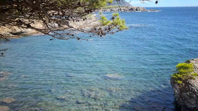 Coastal Path of the Giens Peninsula and the Grand Gaou island, South of France