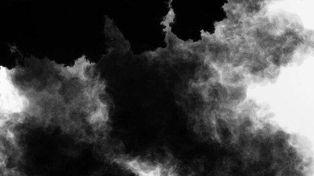 Footage of pure black ink injected into clear water on a white backdrop, dynamically expanding into dense, elegant clouds and smoke-like textures.Overlays, effects, transitions, and luma mattes.