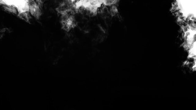 Footage of pure black ink injected into clear water on a white backdrop, dynamically expanding into dense, elegant clouds and smoke-like textures.Overlays, effects, transitions, and luma mattes.