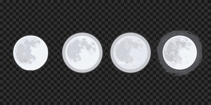 Moon Phases Vector Illustration With Transparent Background