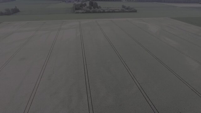 Aerial View of Green Farmland with Parallel Tractor Tracks in Zeeland