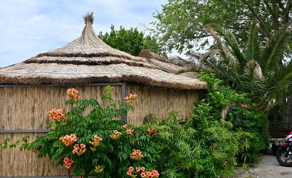 thatched roof cottage