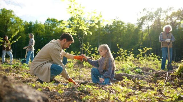 Tree planting initiative. Caucasian father and daughter caring for young sapling together. Local volunteers restoring forest area and supporting nature recovery. Eco project in woodland landscape.