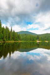Fototapeta premium landscape by the lake on cloudy morning. coniferous forest near the lake and the forest mountain. awesome summer view of carpathian mountain reflection on synevr lake water surface. clean environment