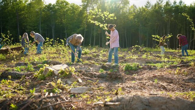 Eco restoration effort. Diverse volunteers planting young trees and improving damaged land. Men and women working for greener future. Eco community action supporting forest recovery outdoors.