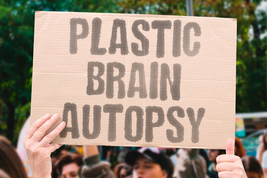 "Plastic brain autopsy" Post-mortem detects synthetic particles. MICROPLASTIC. HEALTH. BRAIN. DEATH. TOXIN.