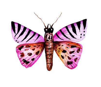 Hand drawn watercolor butterflies composition. vVibrant colorful butterfly elements design for wedding invitation, greeting card, wallpaper, fabric and wrapping paper. Abstract summer wildlife backgro