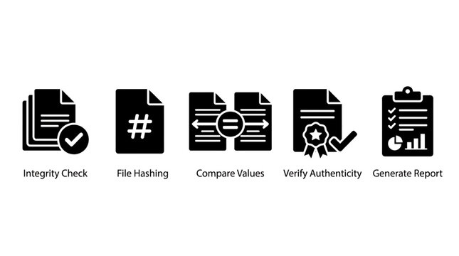 Data Security Verification and Digital Integrity Workflow Icons Set for File Hashing and Document Authentication Processes