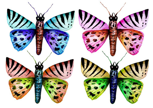 Hand drawn watercolor butterflies set. Vibrant colorful butterfly elements design for wedding invitation, greeting card, wallpaper, fabric and wrapping paper. Abstract summer wildlife background