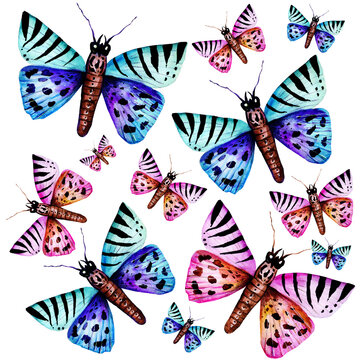 Hand drawn watercolor butterflies composition. vVibrant colorful butterfly elements design for wedding invitation, greeting card, wallpaper, fabric and wrapping paper. Abstract summer wildlife backgro