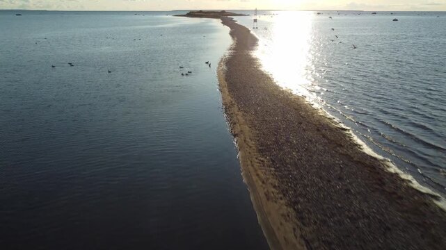 Aerial push-in view of a drone flying towards and over a narrow gravel sandspit in the Baltic Sea, with a flock of scared seabirds taking off and flying past the camera near Pandju island, Estonia.