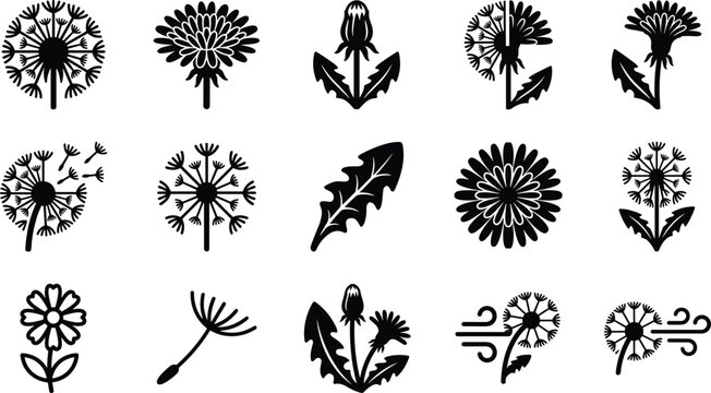 Set of black and white dandelion icons and floral silhouettes.