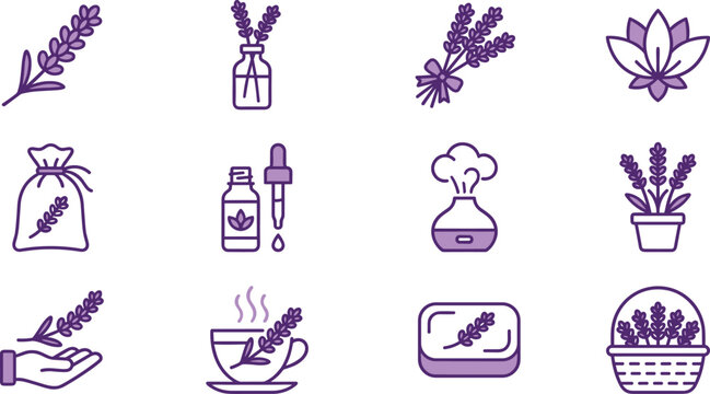 Set of lavender flower and herbal therapy line icons.